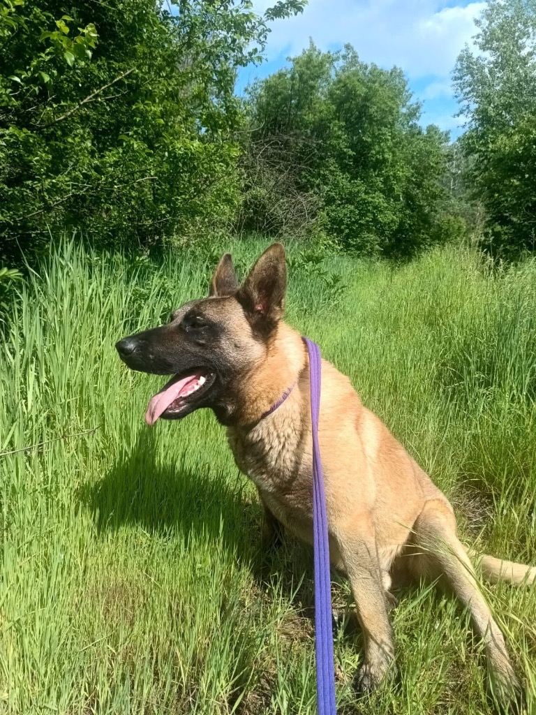 MALI